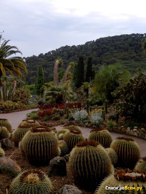 Ботанический сад Пинья-де-Роса (Испания, Коста-Браво)