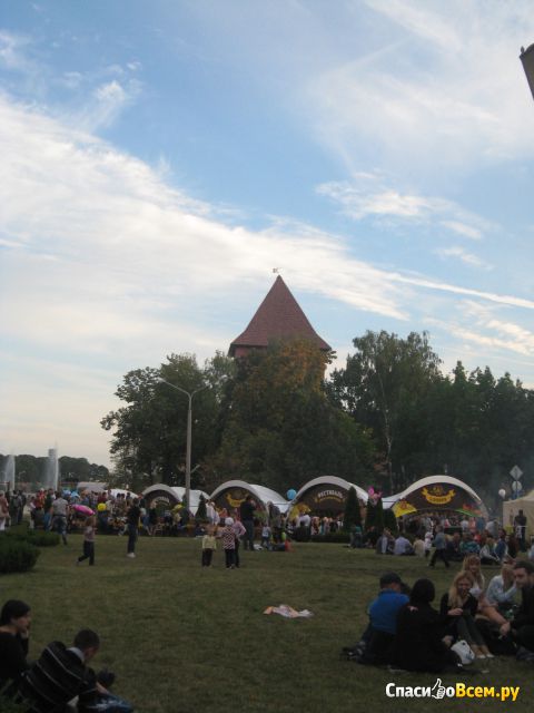 Фестиваль хмеля солода и воды Lidbeer в Лиде (Беларусь, Лида)