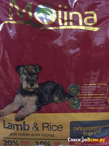 Сухой корм Molina Adult Lamb & Rice гипоаллергенный для собак всех пород