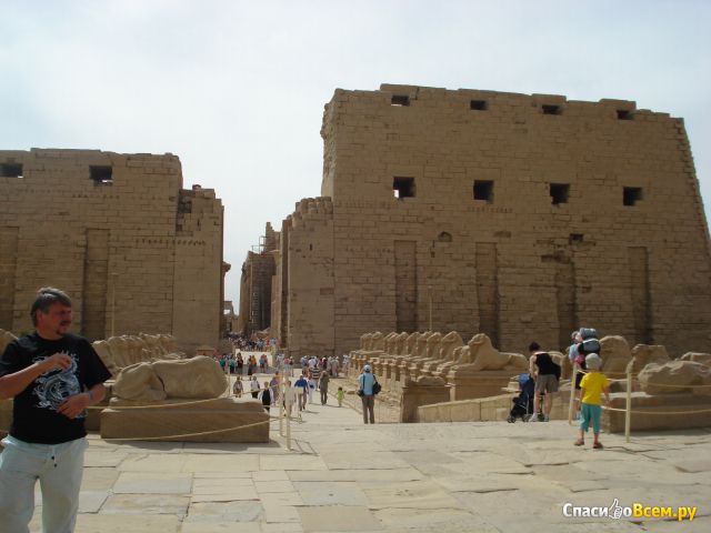 Экскурсия в Луксор (Египет, Хургада)