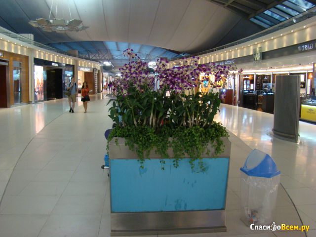 Аэропорт Suvarnabhumi (Бангкок, Таиланд)
