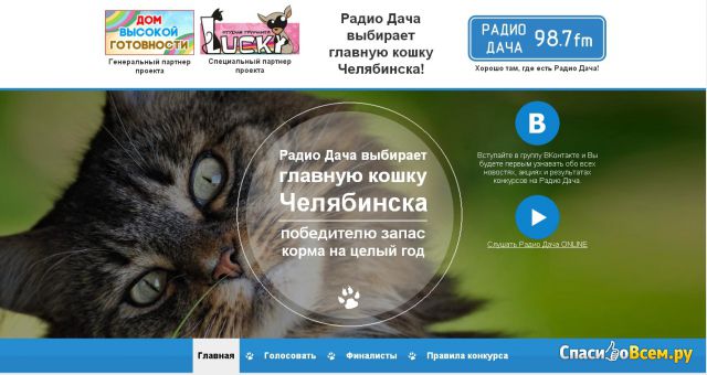 Акция Радио Дача «Главная кошка Челябинска»