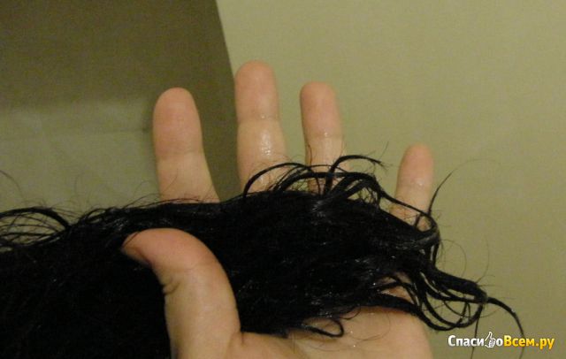 Шампунь Natura Siberica для сухих волос "Защита и питание"