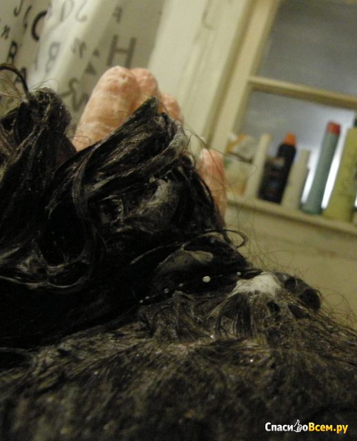 Шампунь Natura Siberica для сухих волос "Защита и питание"