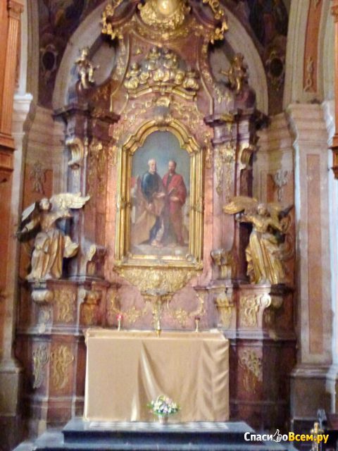 Костёл Святых Петра и Павла ордена иезуитов (Украина, Львов)