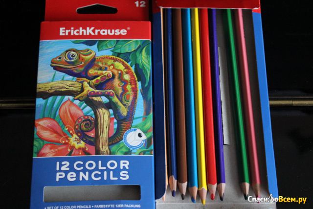 Набор цветных карандашей Erich Krause 12 цветов EK 32479