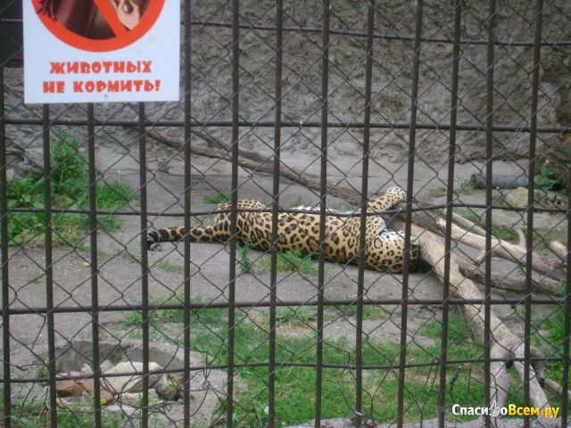 Казанский зооботанический сад (Казань, ул. Хади Такташ, 112)
