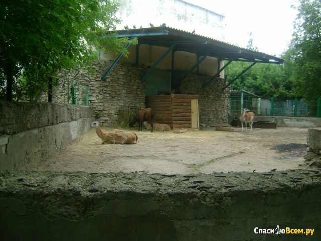 Казанский зооботанический сад (Казань, ул. Хади Такташ, 112)