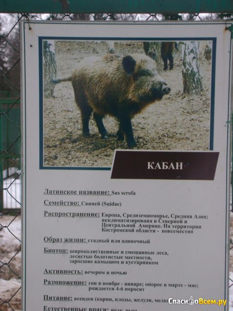 Костромской зоопарк (Кострома)