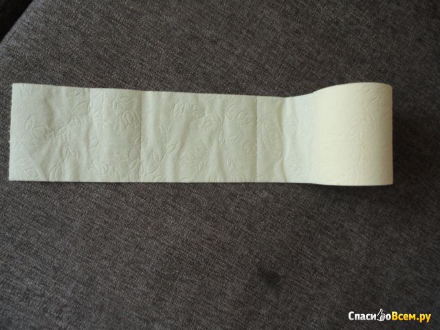 Туалетная бумага Zewa Плюс Aqua Tube со смываемой втулкой с ароматом ромашки