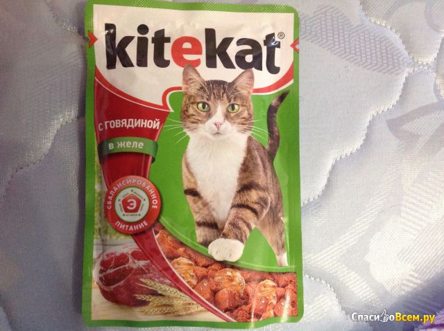 Полнорационный консервированный корм Kitekat для взрослых кошек с говядиной в желе
