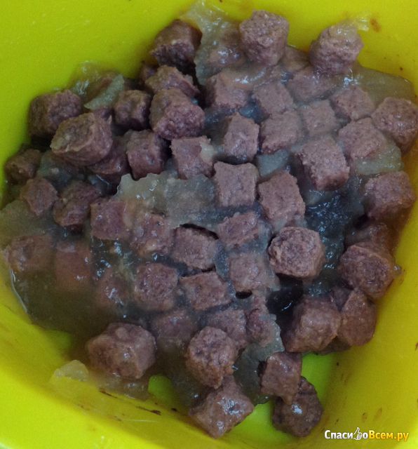 Полнорационный консервированный корм Kitekat для взрослых кошек с говядиной в желе