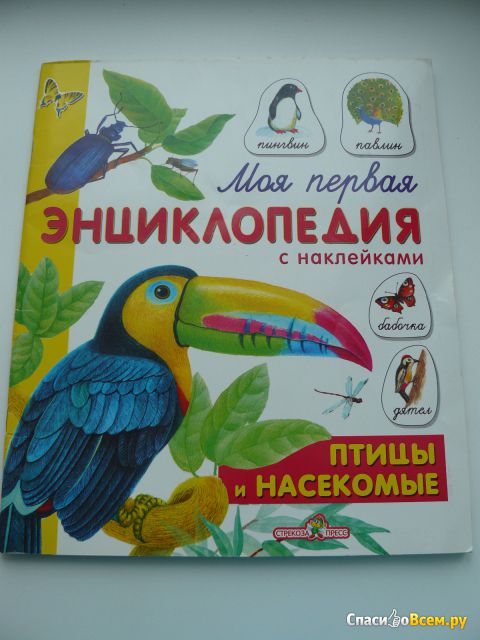 Книга "Моя первая энциклопедия с наклейками" Птицы и насекомые