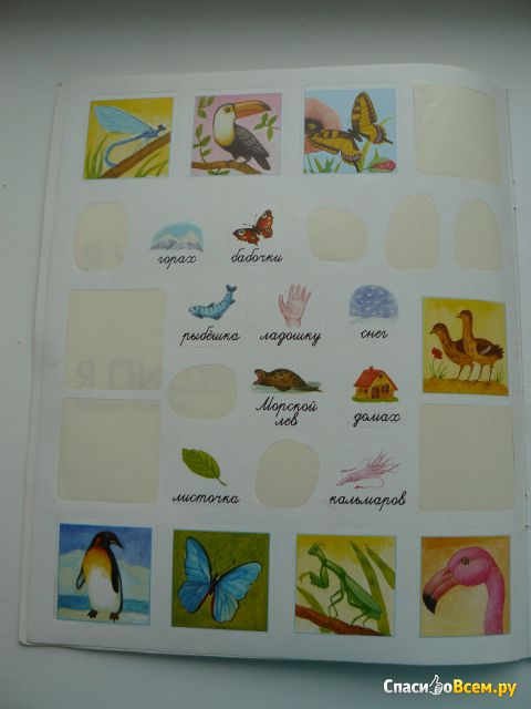 Книга "Моя первая энциклопедия с наклейками" Птицы и насекомые