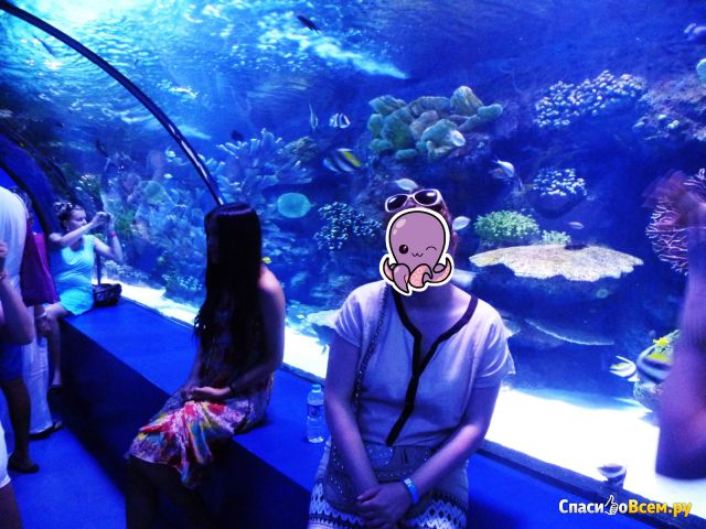 Аквариум Antalya Aquarium (Турция, Анталия)