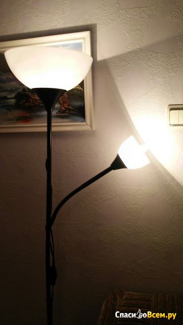 Торшер-лампа для чтения Нут IKEA