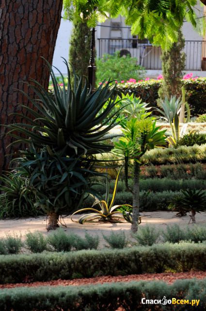 Бахайский Сад  в Хайфе (Израиль)