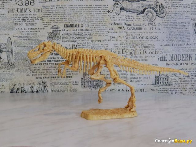 Набор Bondibon "Исторические раскопки" Динозавр Тираннозавр "Я палеонтолог"