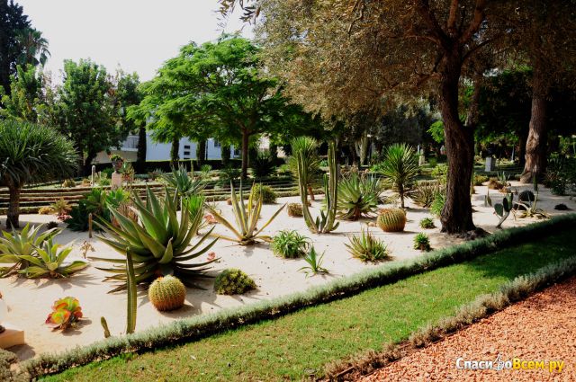Бахайский Сад  в Хайфе (Израиль)