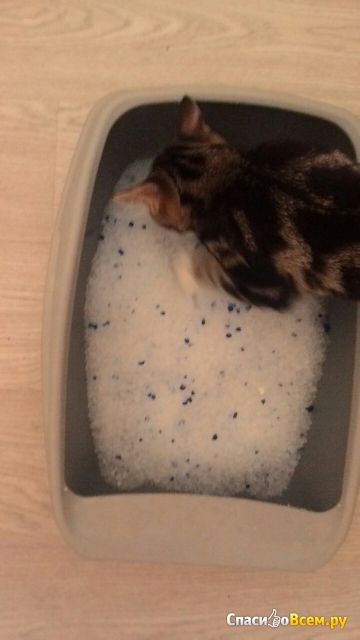 Силикагелевый наполнитель для кошачьего туалета Crystals N1
