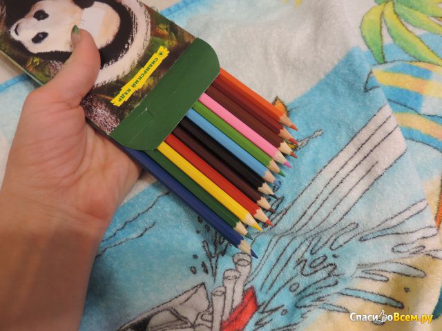 Цветные карандаши "Сибирский кедр" 12 цветов