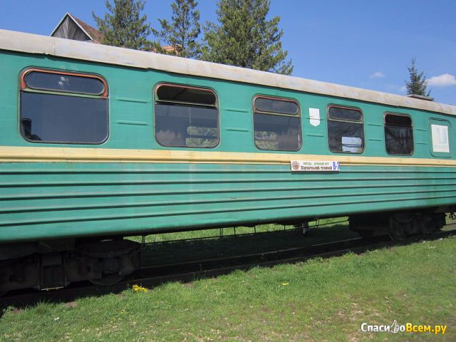 Прогулочная экскурсия "Карпатский Трамвай" (Украина, Выгода, Карпаты)