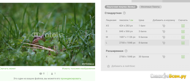 Сайт Fotolia.ru