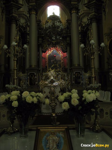 Собор архикафедральный Святого Юра (Украина, Львов)