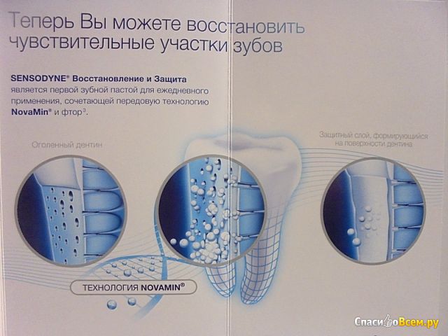Зубная паста Sensodyne "Восстановление и защита"