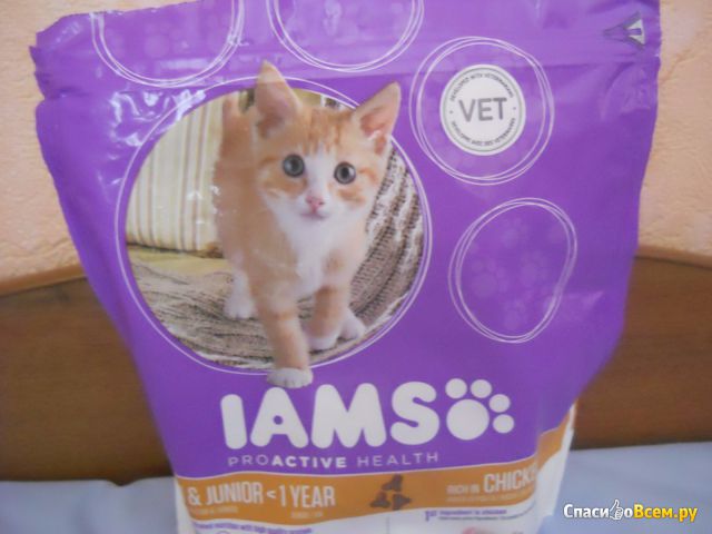 Сухой корм для котят с курицей Iams ProActive Health Kitten & Junior