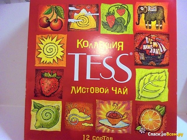 Коллекция листового чая "Tess" Ассорти 12 сортов в подарочной упаковке