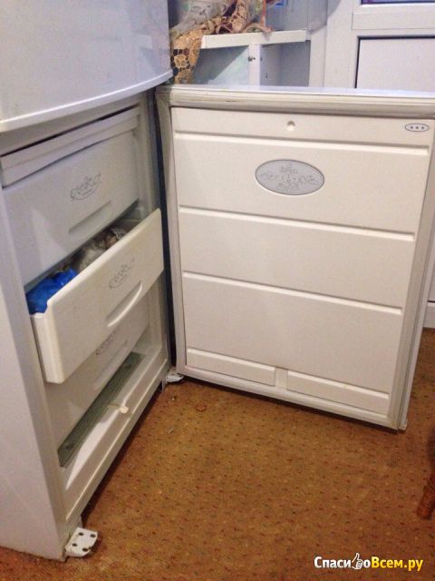 Двухкамерный холодильник Бирюса 228-3