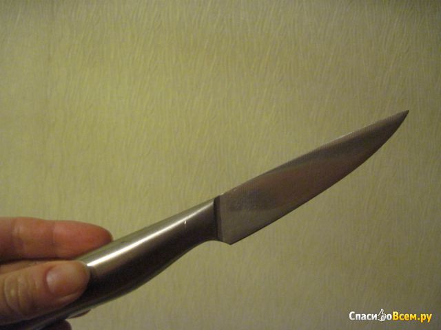 Нож для шпиговки Fontignac KN0148