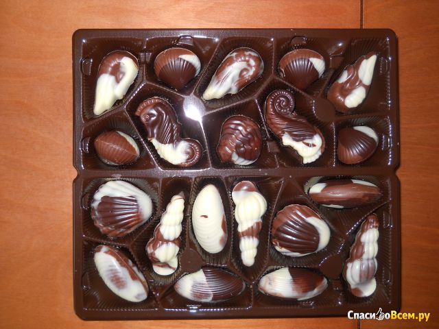 Конфеты шоколадные Vanden Bulcke "Морские ракушки"