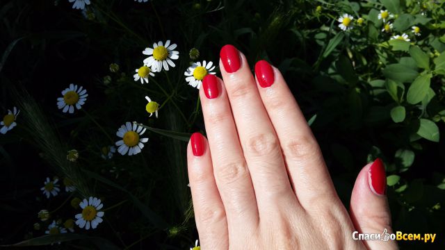Лак для ногтей Sally Hansen Xtreme Wear №160 Cherry Red