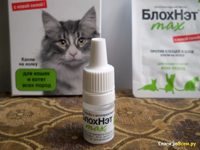 Инсектоакарицидный препарат "БлохНэт" max для кошек и котят всех пород