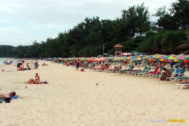 Пляж Kata (Таиланд, Пхукет)