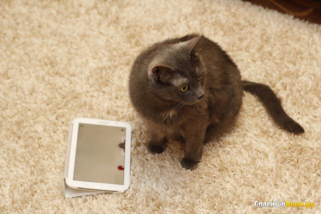 Приложение Cat Alone - Cat Toy для Android