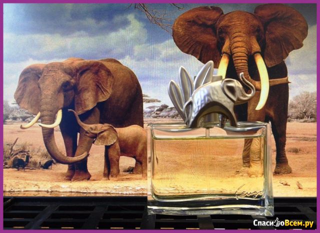 Парфюмерная вода Kenzo Jungle L'Elephant