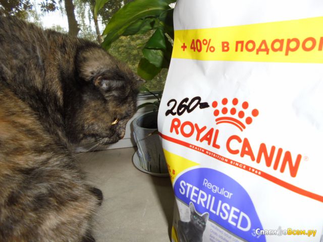 Корма для кошек Royal Canin