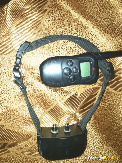 Электронный ошейник для дрессировки Petrainer PET998D