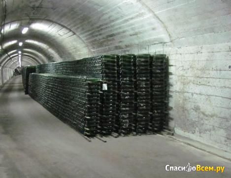 Экскурсия на завод шампанских вин "Абрау-Дюрсо" (п.Абрау, Россия)