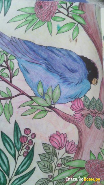 Мини-раскраска-антистресс для творчества и вдохновения "Великолепные птицы", изд. "Эксмо"