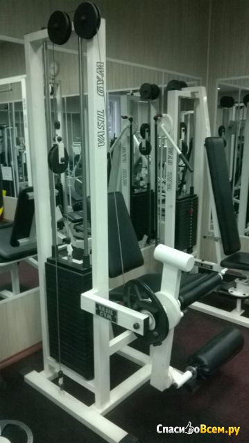 Тренажер Gym Vasil  В.314 для мышц разгибателей бедра, сидя