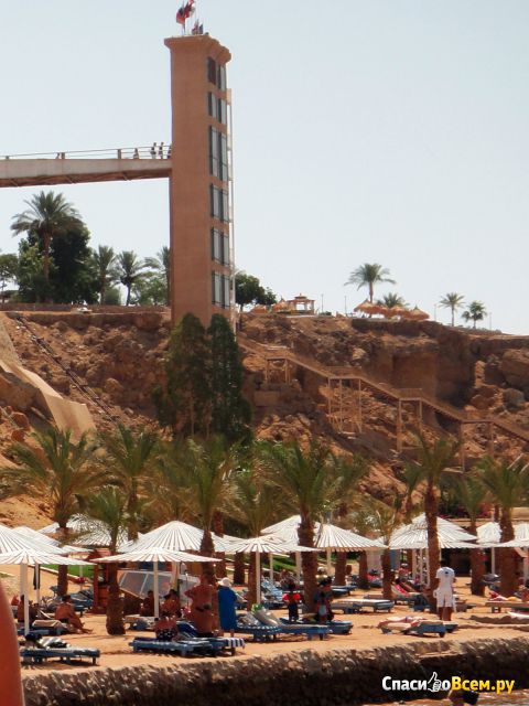 Отель Albatros Aqua Blu Sharm 4* (Египет, Шарм-эль-Шейх)