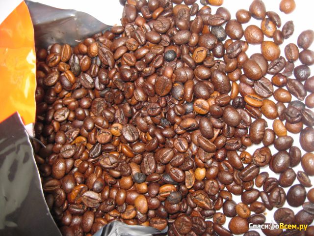 Кофе в зернах Gimoka Dulcis Vitae