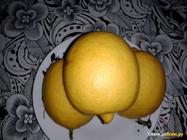 Турецкие Лимоны