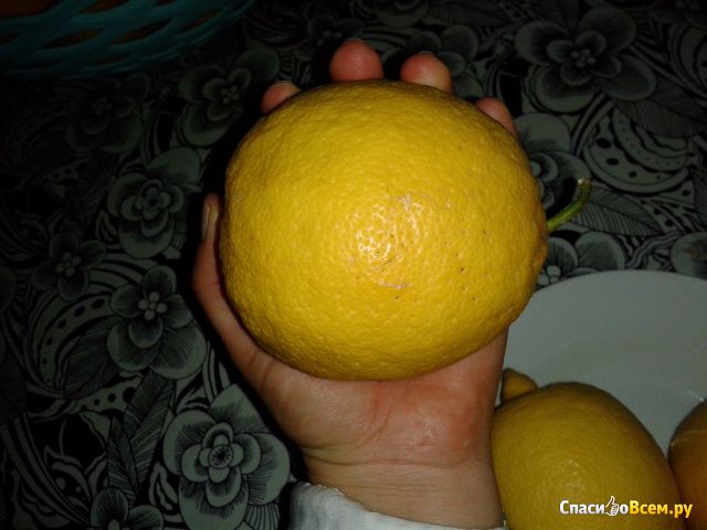 Турецкие Лимоны