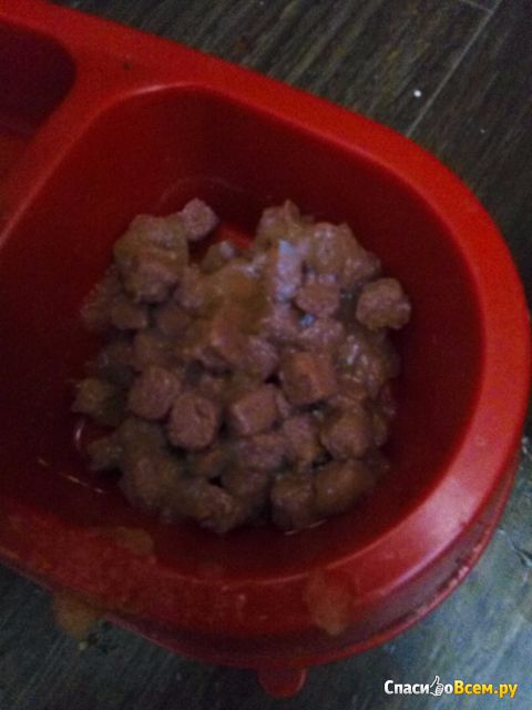 Влажный корм для кошек "Kitekat" с говядиной в соусе