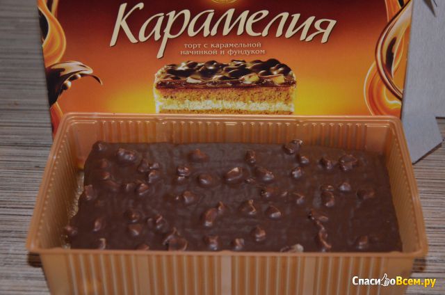 Торт "Черемушки" Карамелия